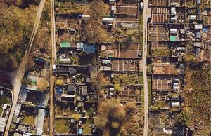 Green Allotments